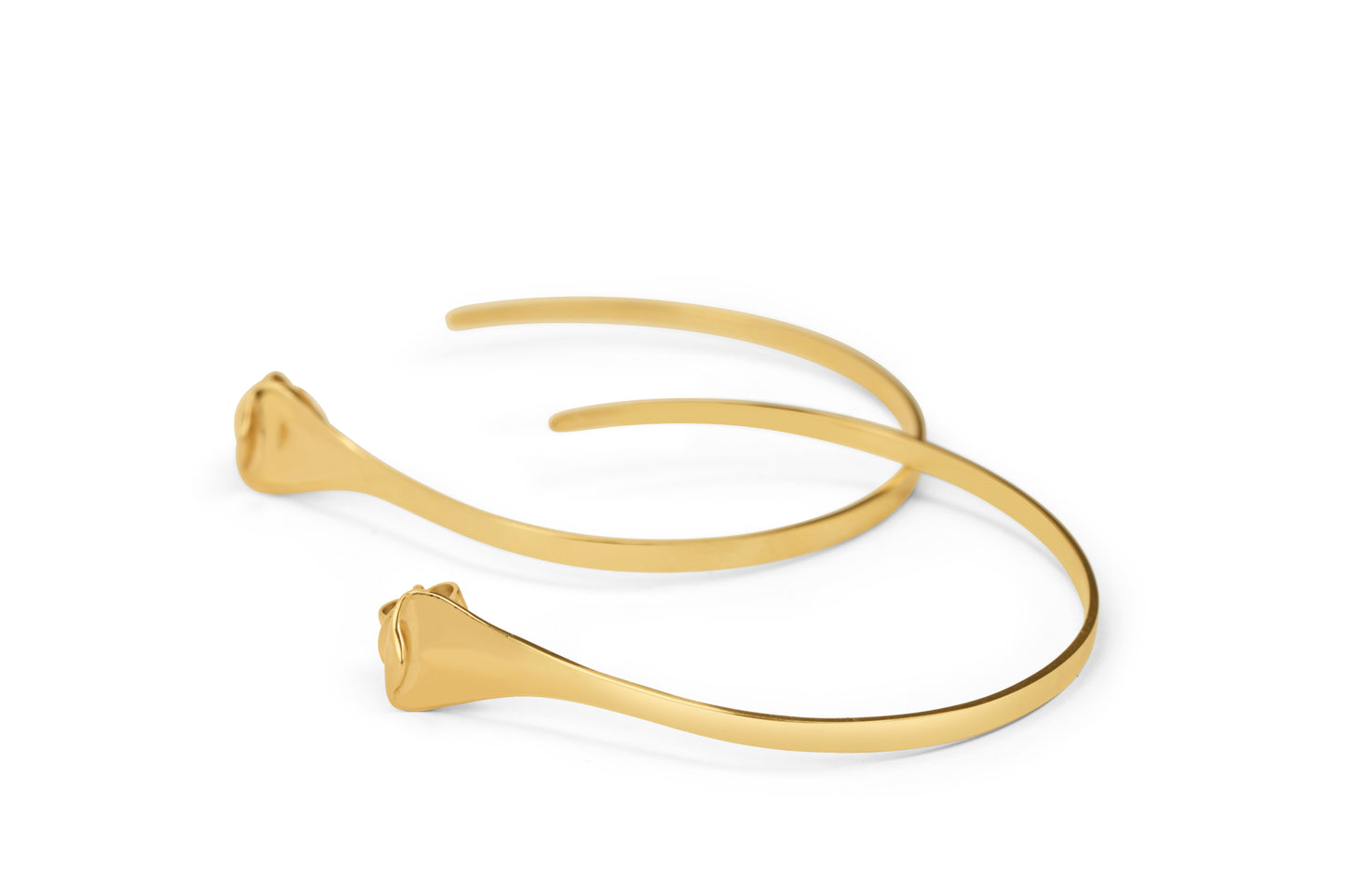 Cobra Hoop Earnings