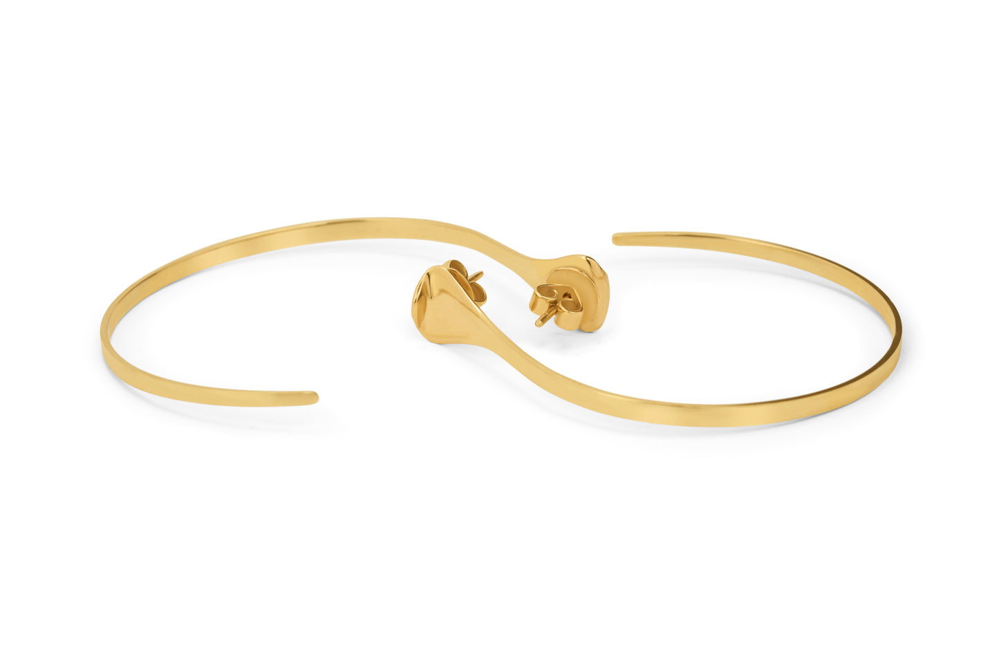 Cobra Hoop Earnings