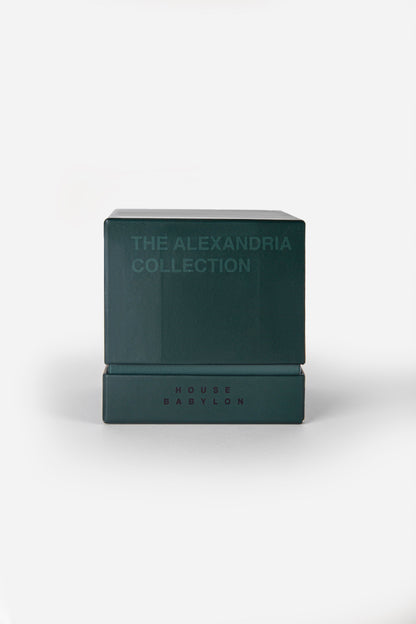 Alexandria multi pack socks