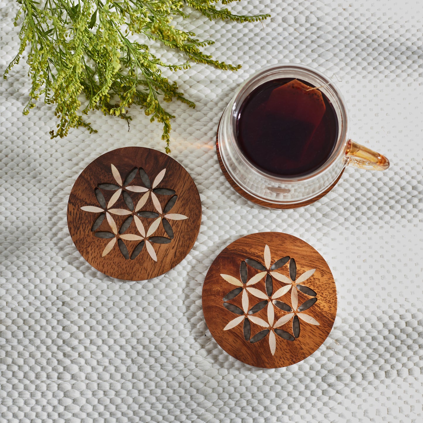 Lilya coaster