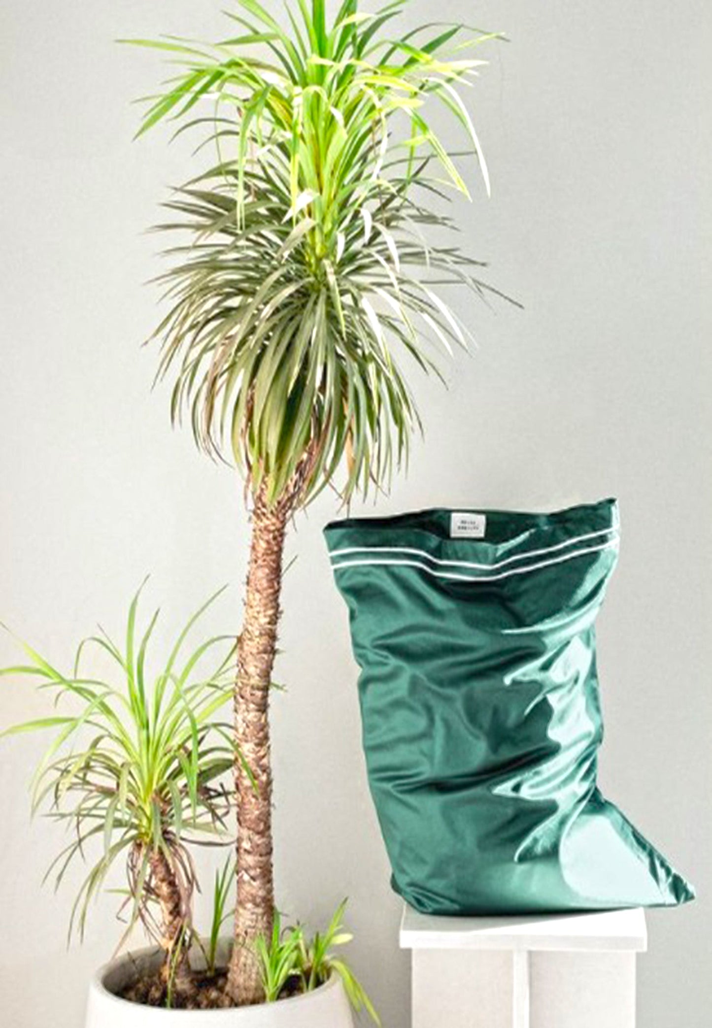 Pillow Case | Cairo Collection Green