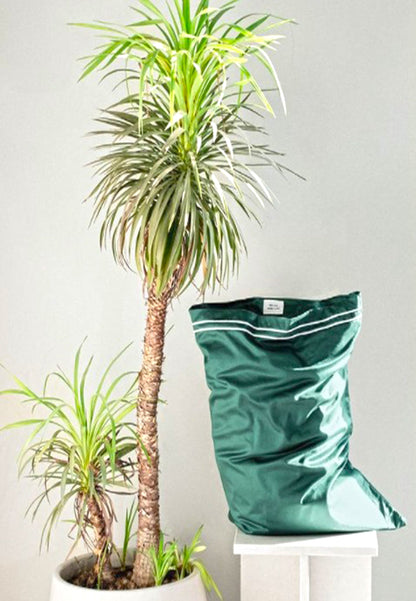 Pillow Case | Cairo Collection Green